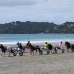 Horse and Cart Racing