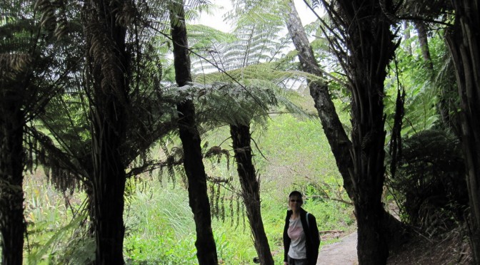 The Waioraka Reserve