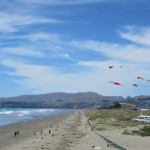 Kite flying along New Brighton Beach
