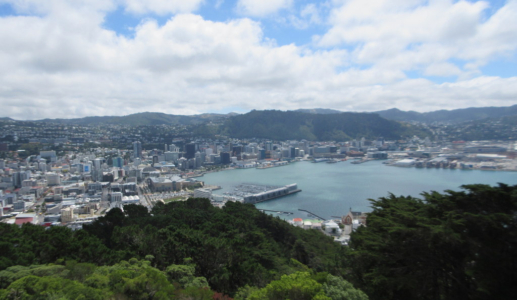Wellington City from Mt Victoria