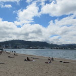 One of the Wellington Beaches