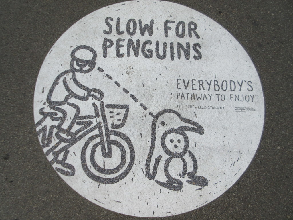 Danger marauding Penguins!