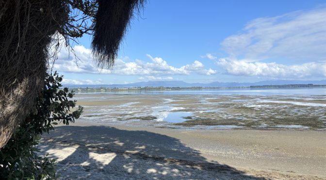 Views along the Estuary in Tauranga